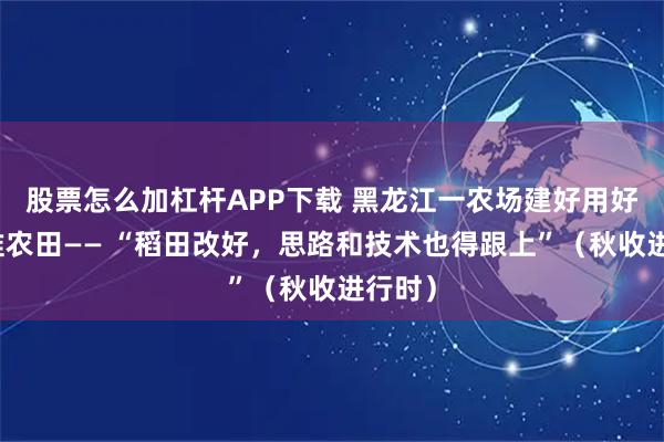 股票怎么加杠杆APP下载 黑龙江一农场建好用好高标准农田—— “稻田改好，思路和技术也得跟上”（秋收进行时）