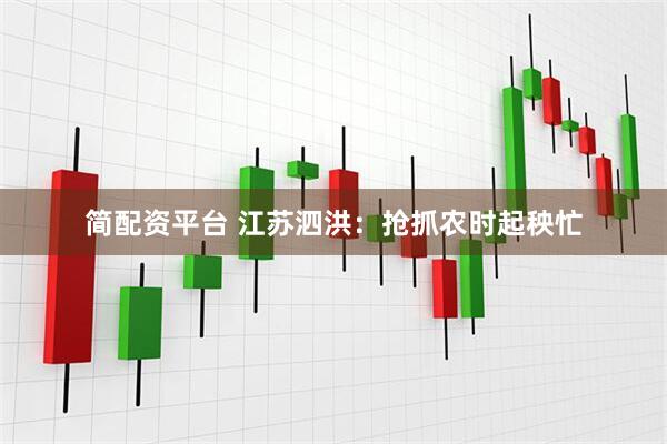 简配资平台 江苏泗洪：抢抓农时起秧忙
